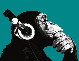 Audio Primate