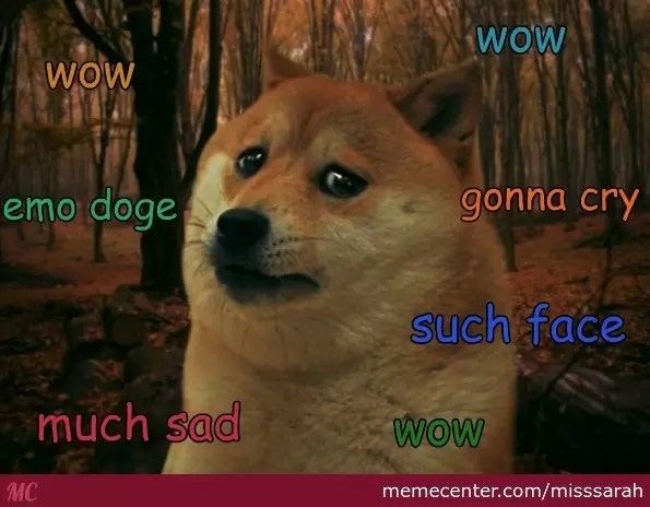 sad-doge-is-sad_o_2792967